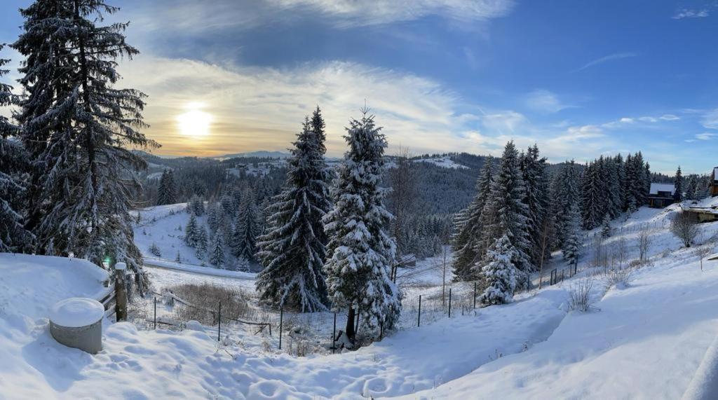 Panorama Karpat Otel Yablunytsia Dış mekan fotoğraf