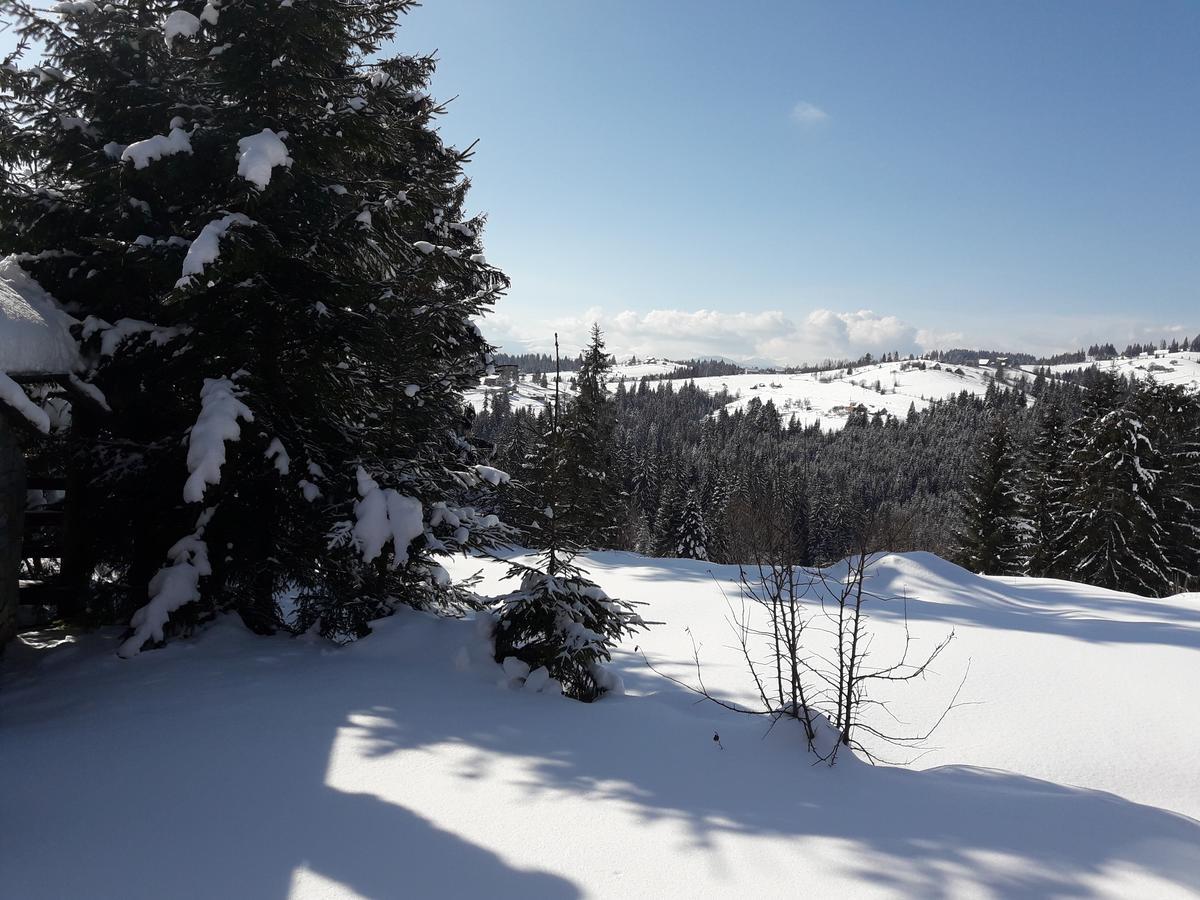 Panorama Karpat Otel Yablunytsia Dış mekan fotoğraf